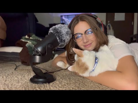 Cat Purring ASMR! | Purring, Scratching, Licking 😴🐈