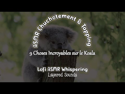 Savoir ASMR TAPPING et CHUCHOTEMENT 9 Choses Incroyables sur le Koala (Lofi ASMR Whispering ASMR Fr)