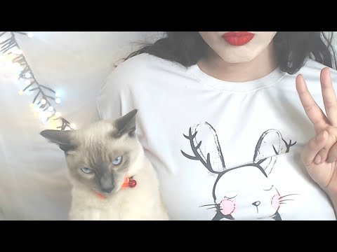 ASMR Cat ❤️ - Pet Therapy  Soft Spoken- Kitten tingles 🐈🎀