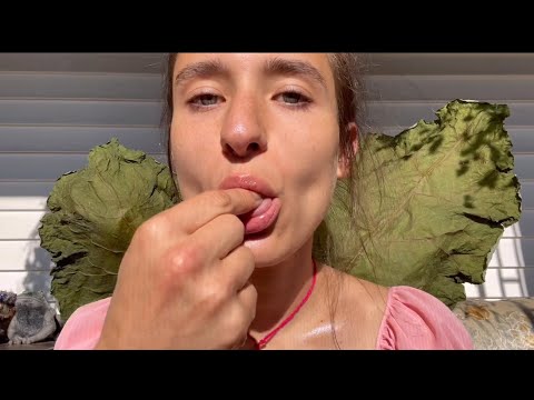 #ASMR KISSING YOU/ EATING YOU/ LICKING YOU/ LENSE LICKING/ UP CLOSE MOUTH SOUNDS/ PERSONAL ATTENTION