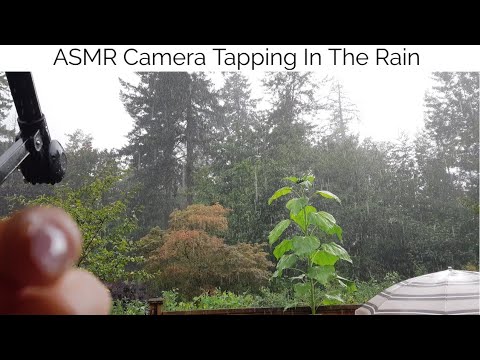 ASMR Camera Tapping And Rain