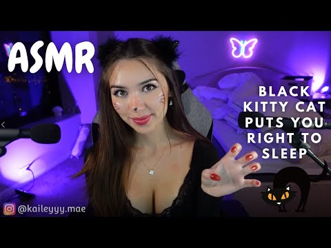 ASMR ♡ Black Kitty Cat Puts You Right to Sleep (Twitch VOD)
