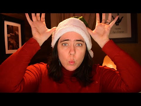 ASMR Rudolph Sign Language Story (with Voiceover)