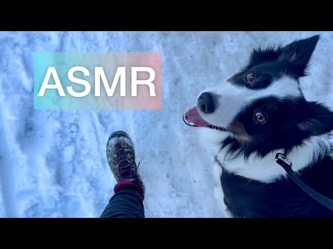 ASMR ❄️ Passi sulla NEVE ❄️ SNOW SOUNDS + ambient sounds + ICE SOUNDS 🧊