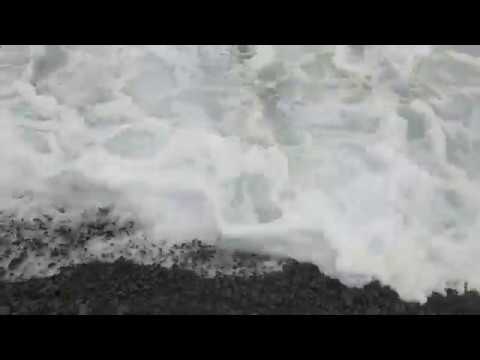 Rocky Black Sand Beach Sounds (Pohoiki, Hawai'i) | Looped