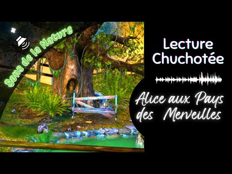 Lofi ASMR Relaxation 📖 Lecture chuchotée et sons de la nature🌊 ASMR Bien-être, Bruits d'ambiance, Fr