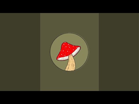 Mushroom Asmr is live!