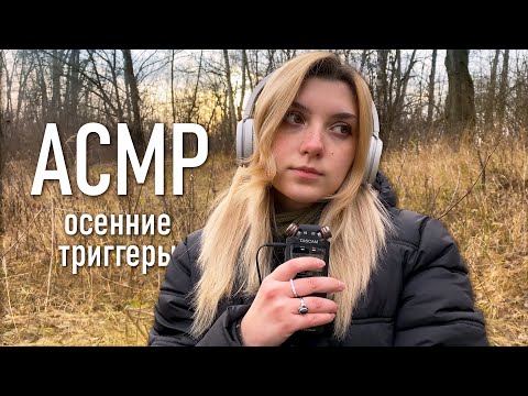 АСМР 🍁 ушла в осенний лес // asmr outside Tascam DR-05x