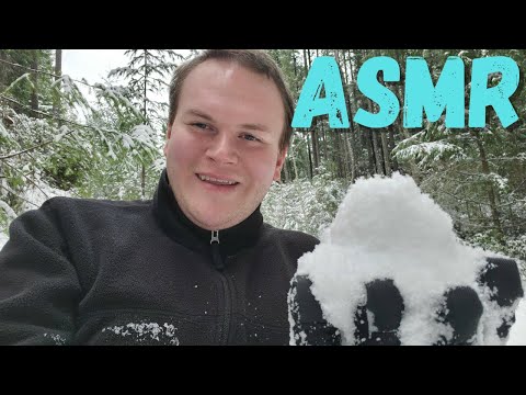 ASMR - Come Walk With Me in the Snow! - Lo-Fi, Nature Sounds, Snow Crunch, Winter Tingles, Flutters