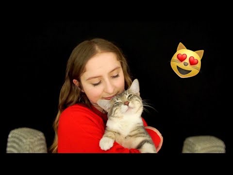 ASMR Cat Purring | Soft Whispers