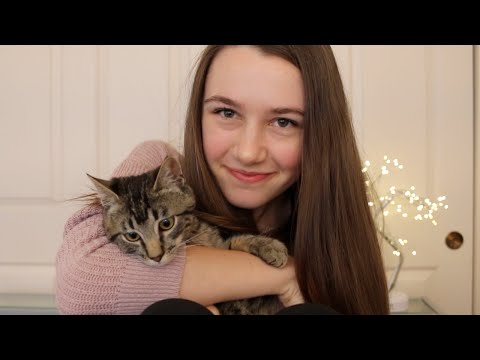 My Cat Does ASMR for You