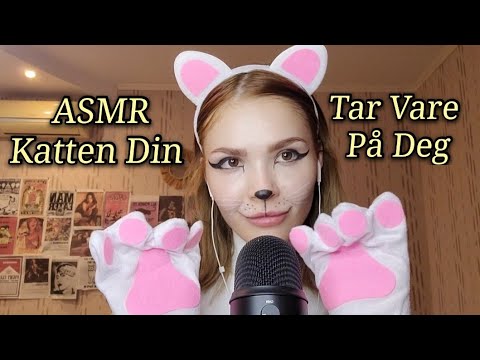 ASMR Katten Din Tar Vare På Deg (Bonus På Slutten) | ASMR Your Cat Roleplay
