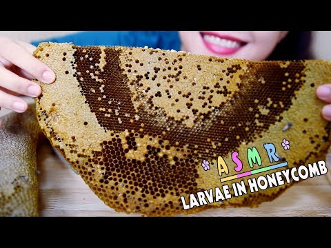 ASMR Eating Larvae in Honeycomb, Exotic food, eating sound PART 06| LINH-ASMR