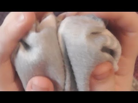 ASMR Rubbing Your Ears Together Inside A Blanket Ear TO Ear | Soft Whispers.