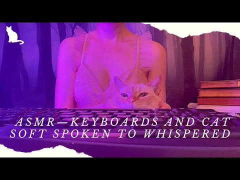 ASMR — Keyboard, Cat, Whispers, Soft Speaking