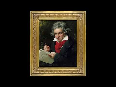 Asmr Ludwig Van Beethoven #shorts