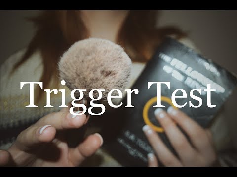 [ASMR] Trigger Test - Popular Triggers (NO TALKING)
