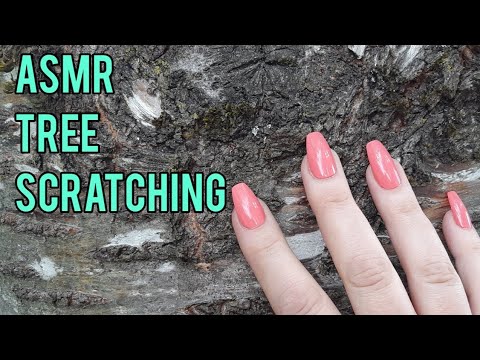 ASMR Tree Scratching