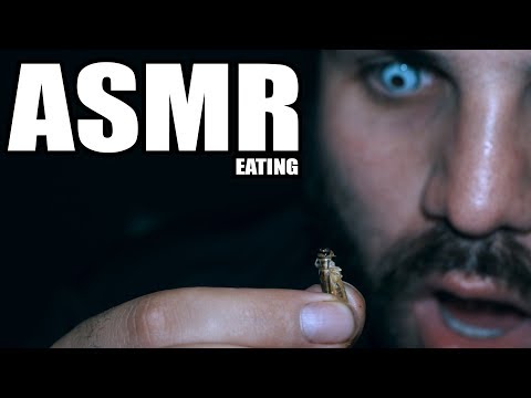 ASMR EATING Crickets, Scorpion, Chocolate Covered Honey Comb