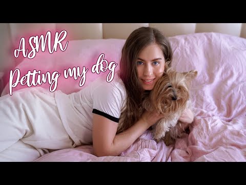 [ASMR] Petting & Brushing My Dog 🐶 + Storytime ❤️🐕