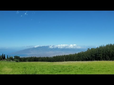 Hang Gliders at Lavender Fields in Maui
