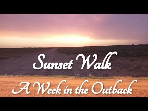 ASMR Sunset Walk at Arid Recovery Reserve (Week in the Outback)