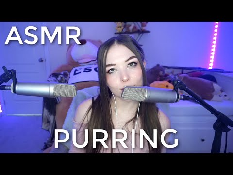 |ASMR| Intense Purring to Help You Relax 😴