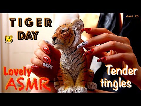 🐯 It's TIGER DAY! 🐯 🎧 So sweet and soft ASMR with tender TINGLES! ✶ Scratching different SOFTNESS ✦