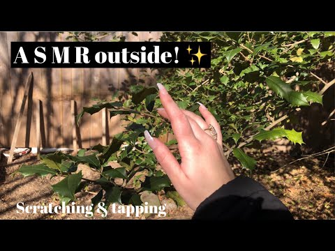 ASMR | Tapping & scratching outside! ☀️🌻🌲🪵