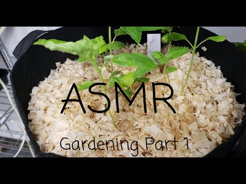 ASMR Gardening Part  1