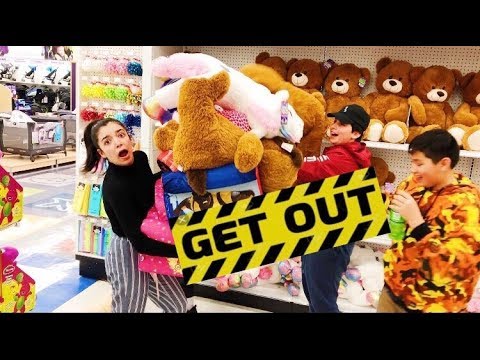 ANYTHING YOU CAN CARRY, ILL PAY FOR CHALLENGE IN TOY STORE GONE WRONG!!!!