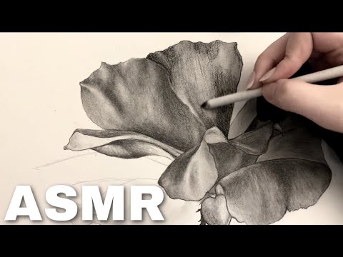 ASMR 1 MINUTE of DRAWING SOUNDS to scratch your brain 🤤 no headphones needed! 🎧🚫