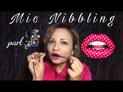 Mic Nibbling | ASMR | ~Part 2~