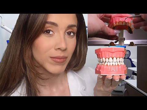 ASMR DENTIST CLEANS YOUR TEETH | Dental Scraping, Brushing, Soft Spoken...