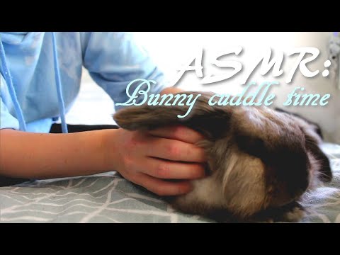 ASMR: Bunny Cuddle Time  🐰