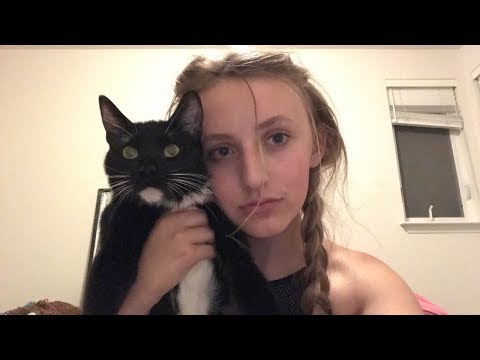ASMR WHISPER RAMBLING & TALKING ABOUT MY CHANNEL (also my cat)