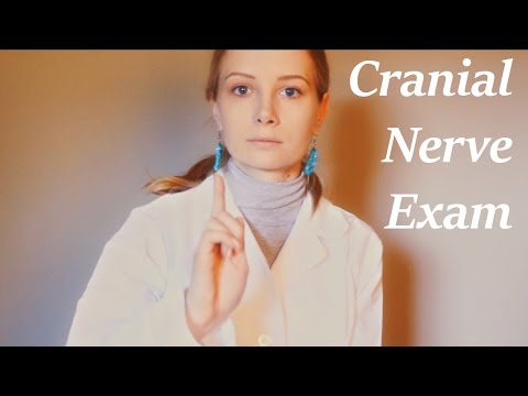 ASMR Cranial Nerve Exam Role Play