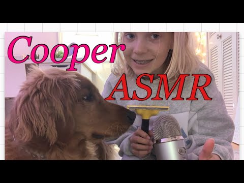 Cooper ASMR - eating and brushing him