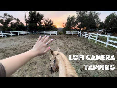 ASMR: Horseback Riding & Camera Tapping 🐎