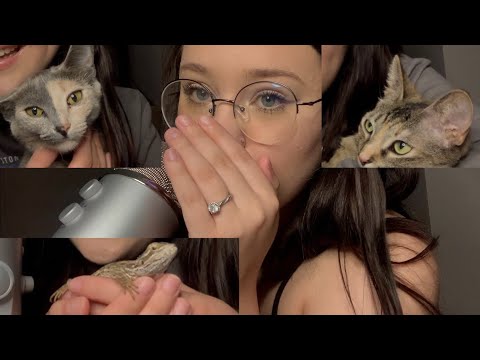 ASMR | Introducing My Pets To You