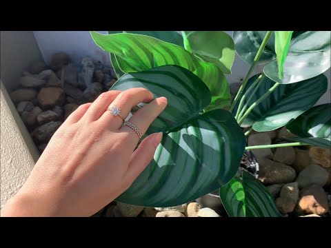 ASMR On Fake Plants | Whispered