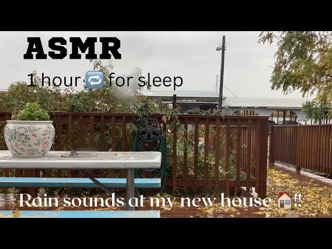 ASMR rain sounds for sleep 💤 1 hour 🔁 ( put it on loop ) no talking ASMR