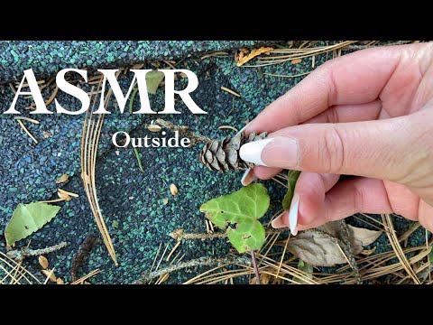 ASMR | Outside Tingles! Tapping & Scratching to help you relax ✨