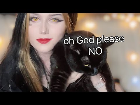 my cat trying ASMR for the first time ^.^