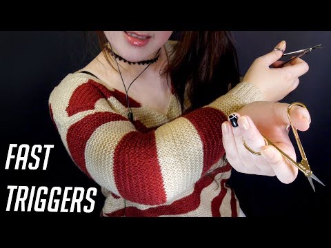ASMR All of Fast Triggers for Tingles ✨빠른소리