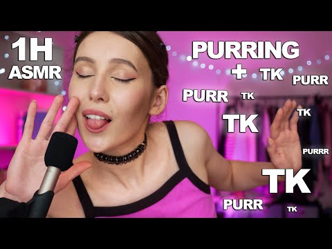ASMR 2 in 1:  purring + tk tk tk | Fast & Aggressive Mouth Sounds ( 1 hour )