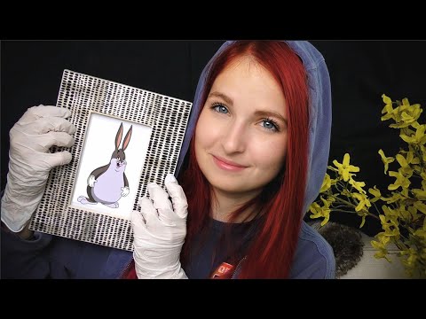 ASMR | Where Have I Been? (rambles, latex gloves, tapping)