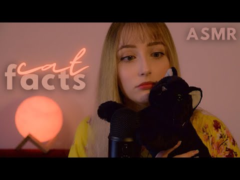 ASMR | Facts About Cats