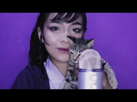 ASMR with cats 𓃠