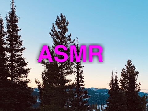Golden retriever ASMR Live Stream